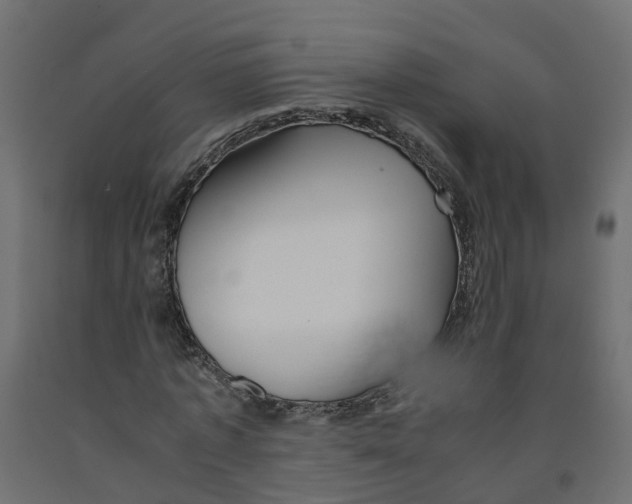 X0000091980773200710041109