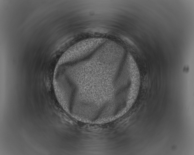 X0000091980774200710041109