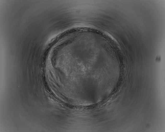 X0000091980775200710041109