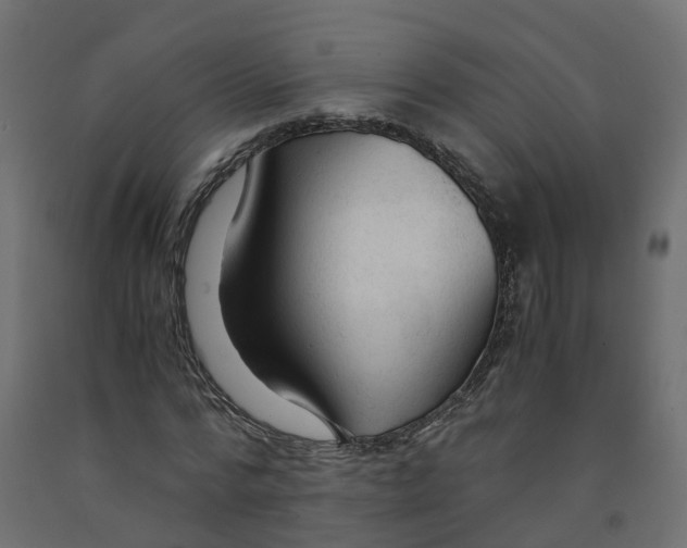X0000091980776200710041109
