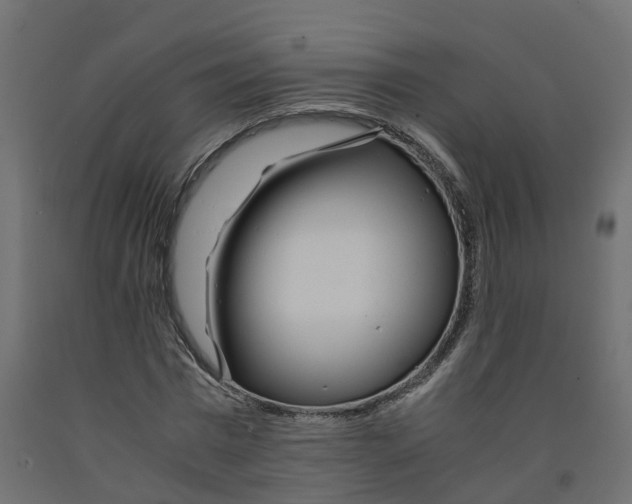X0000091980777200710041109