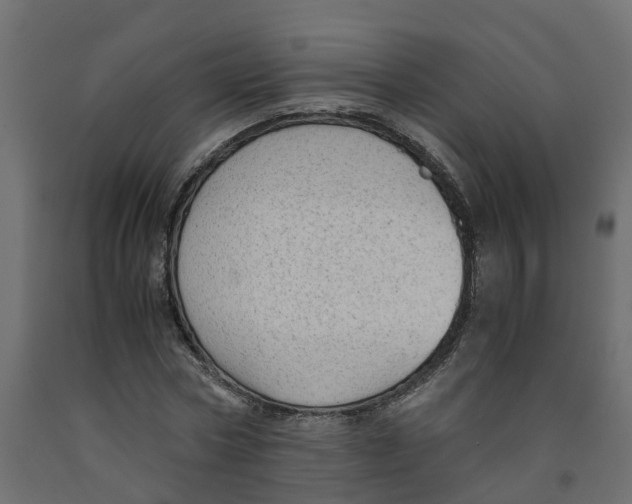 X0000091980778200710041109