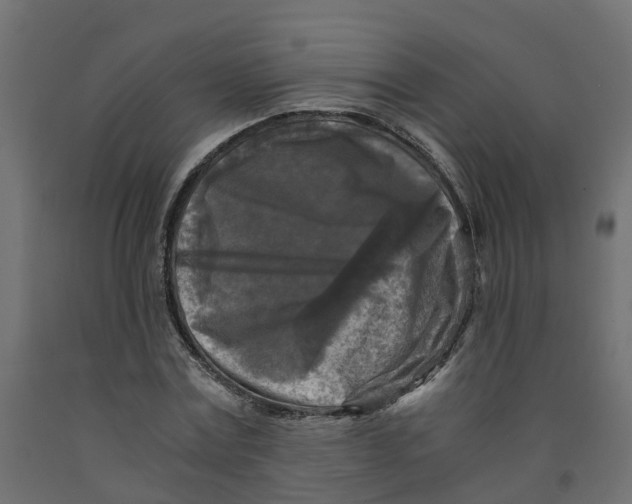 X0000091980779200710041109