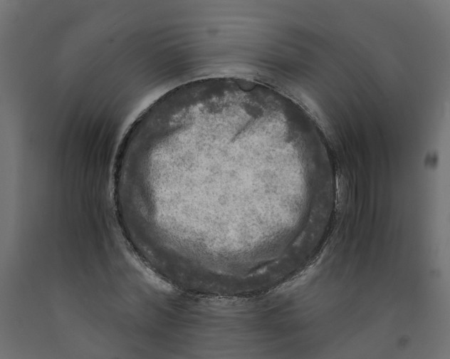 X0000091980780200710041109