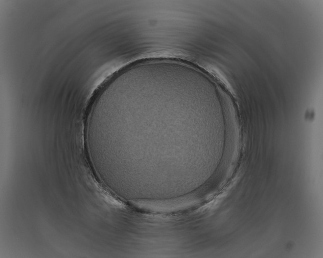 X0000091980781200710041109