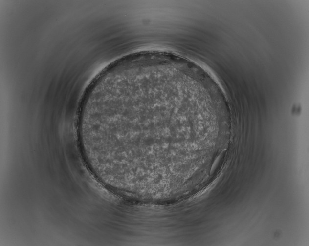 X0000091980783200710041109