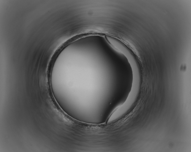 X0000091980784200710041109