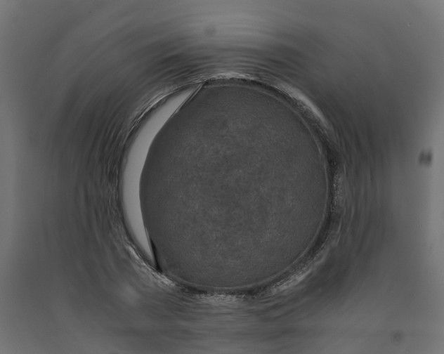 X0000091980785200710041109