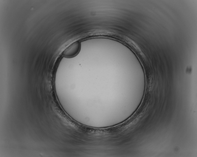 X0000091980786200710041109