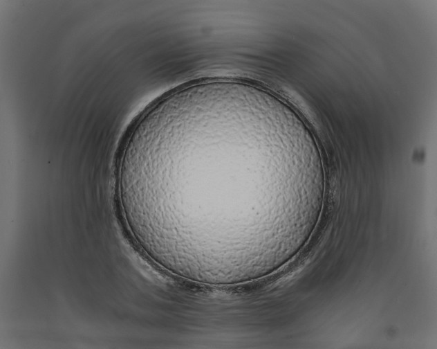 X0000091980787200710041109