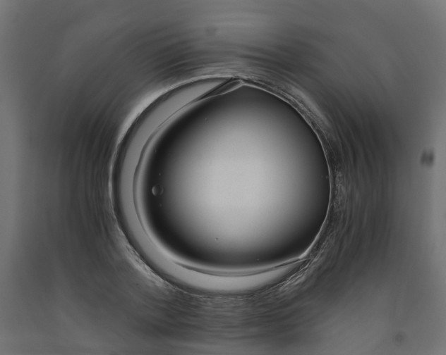 X0000091980788200710041109