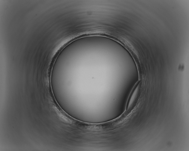 X0000091980789200710041109
