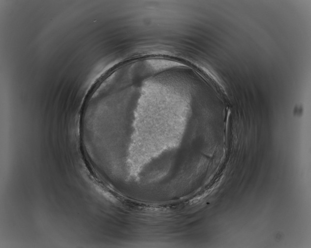 X0000091980790200710041109