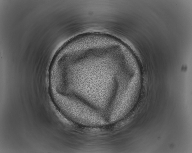 X0000091980791200710041109
