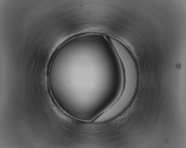 X0000091980792200710041109