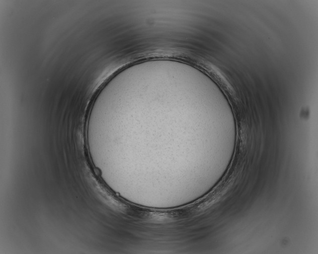 X0000091980794200710041109