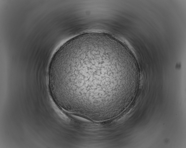 X0000091980795200710041109