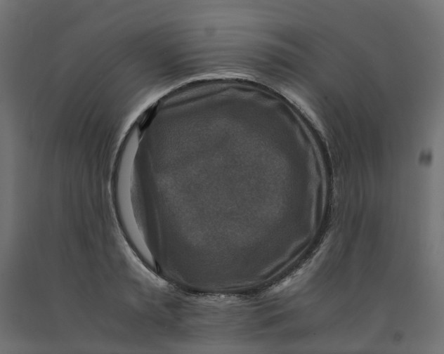 X0000091980797200710041108