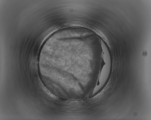 X0000091980798200710041108