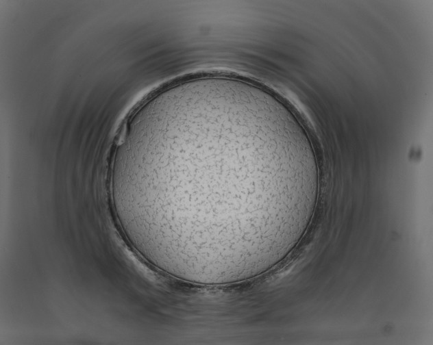 X0000091980799200710041108
