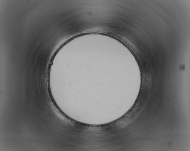 X0000091980800200710041108