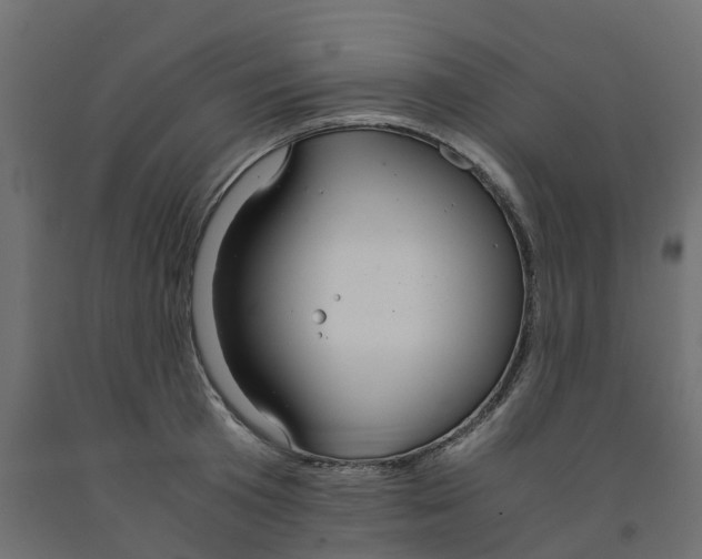 X0000091980801200710041108