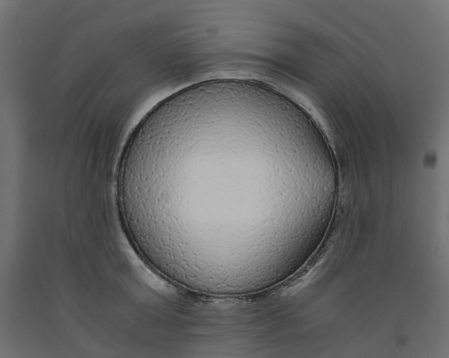X0000091980803200710041108