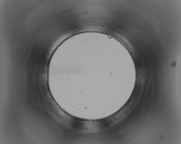 X0000091980804200710041108