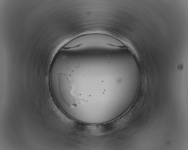 X0000091980805200710041108