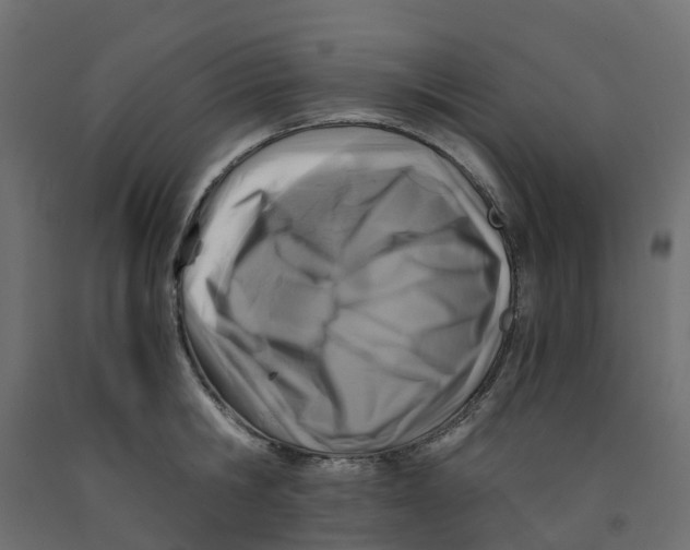 X0000091980806200710041108