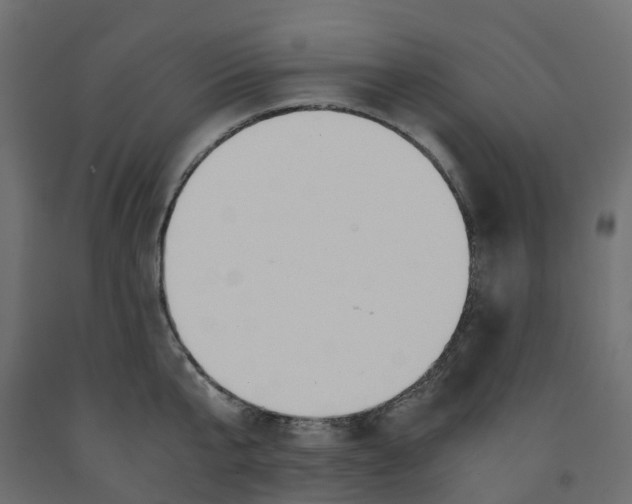 X0000091980807200710041108