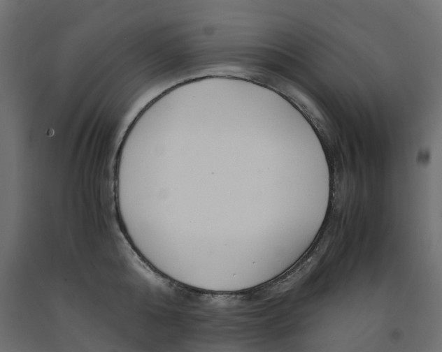 X0000091980808200710041108