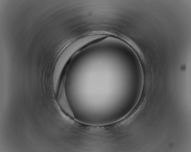 X0000091980809200710041108