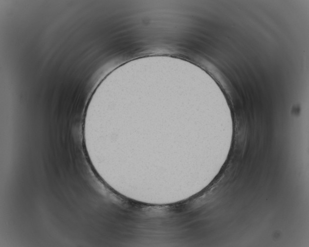 X0000091980810200710041108