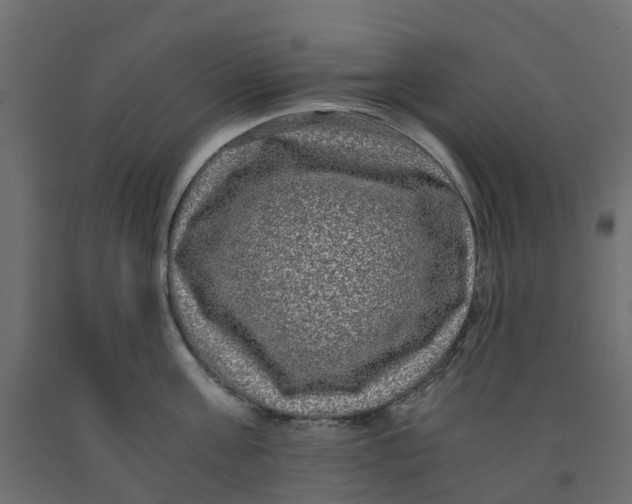 X0000091980811200710041108