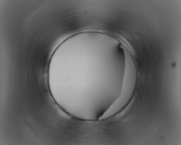 X0000091980812200710041108