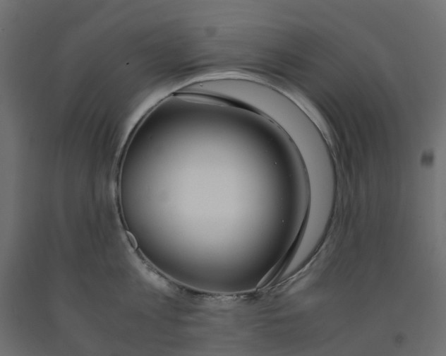 X0000091980813200710041108