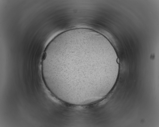 X0000091980814200710041108
