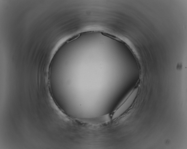 X0000091980815200710041108