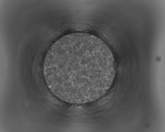 X0000091980817200710041108