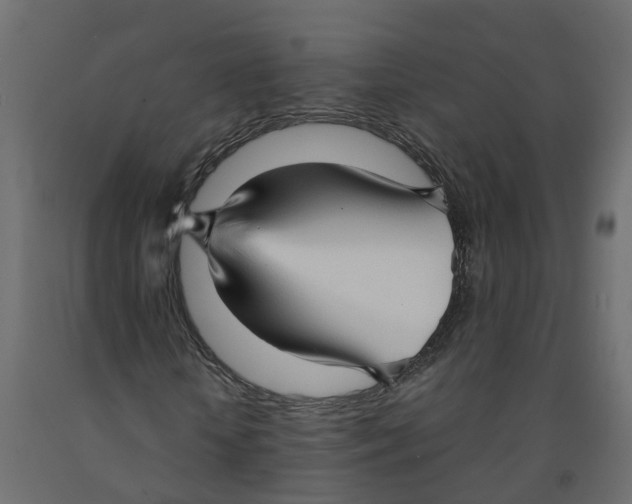 X0000091980818200710041108