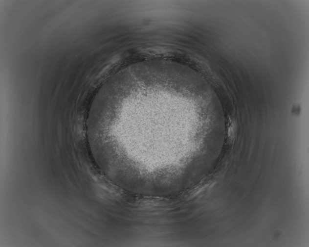 X0000091980819200710041108