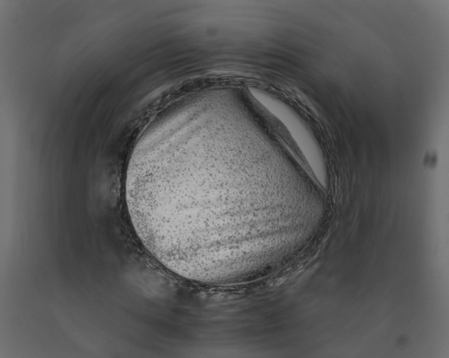 X0000091980821200710041108