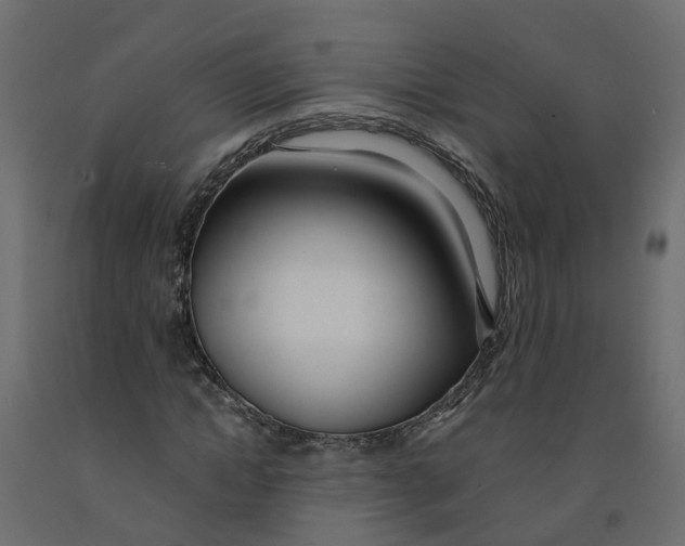 X0000091980822200710041108