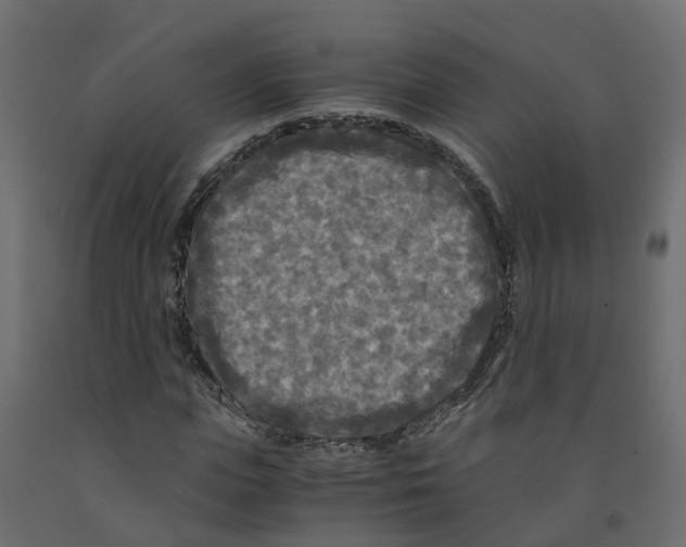 X0000091980823200710041108