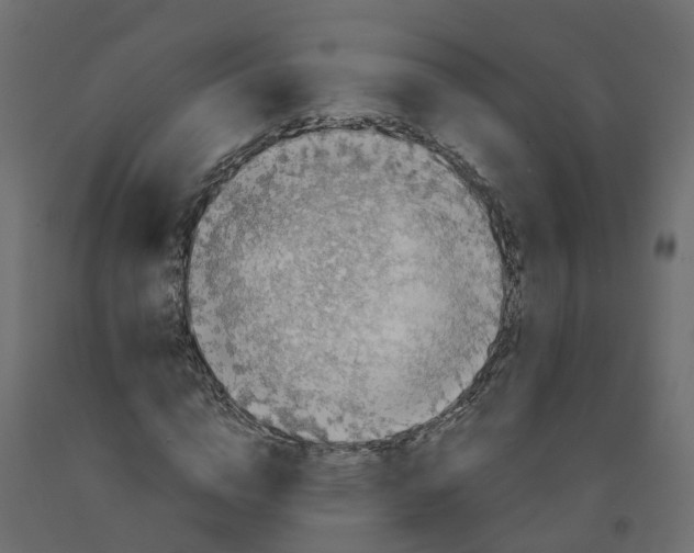 X0000091980824200710041108
