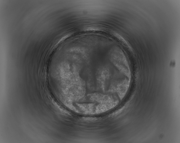 X0000091980825200710041108