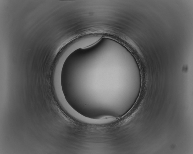 X0000091980826200710041108