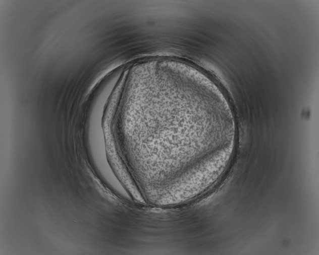 X0000091980827200710041108