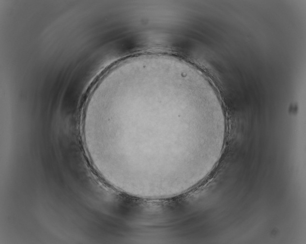 X0000091980828200710041108